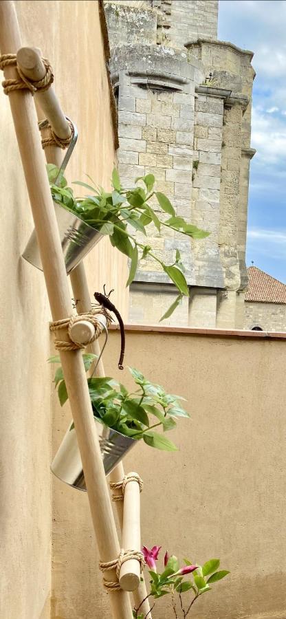 Tresors De La Cathedrale, Maison De Ville Sur 4 Niveaux Narbonne Kültér fotó